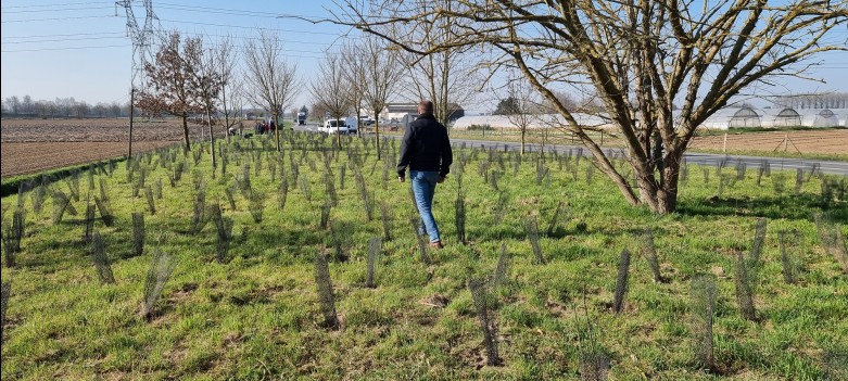 Paradis forêt urbaine