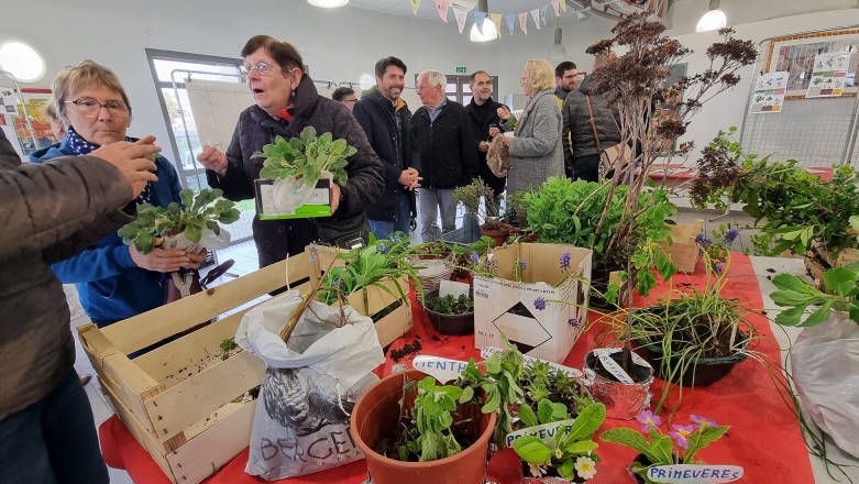 Troc Plantes 1